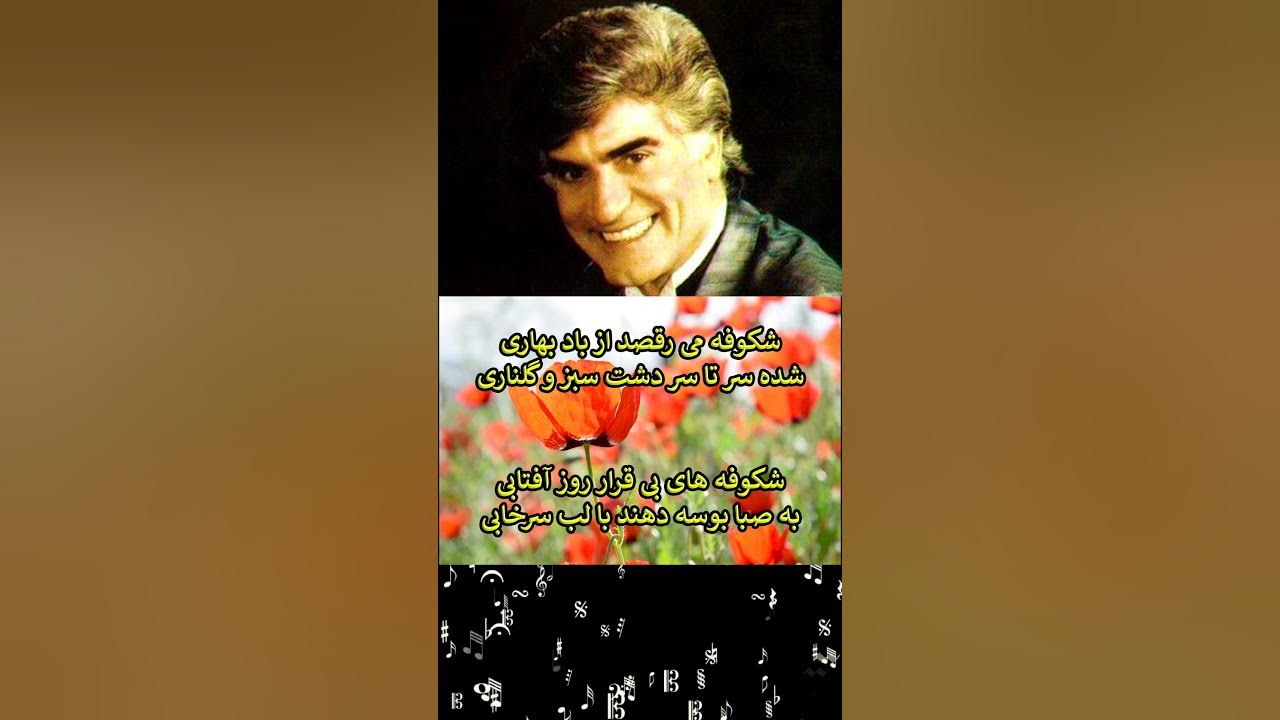 شکوفه ها - ویگن | کارائوکه - بی کلام - همراه با ترانه🎶لینک ویدئو در توضیحات🎧🎶