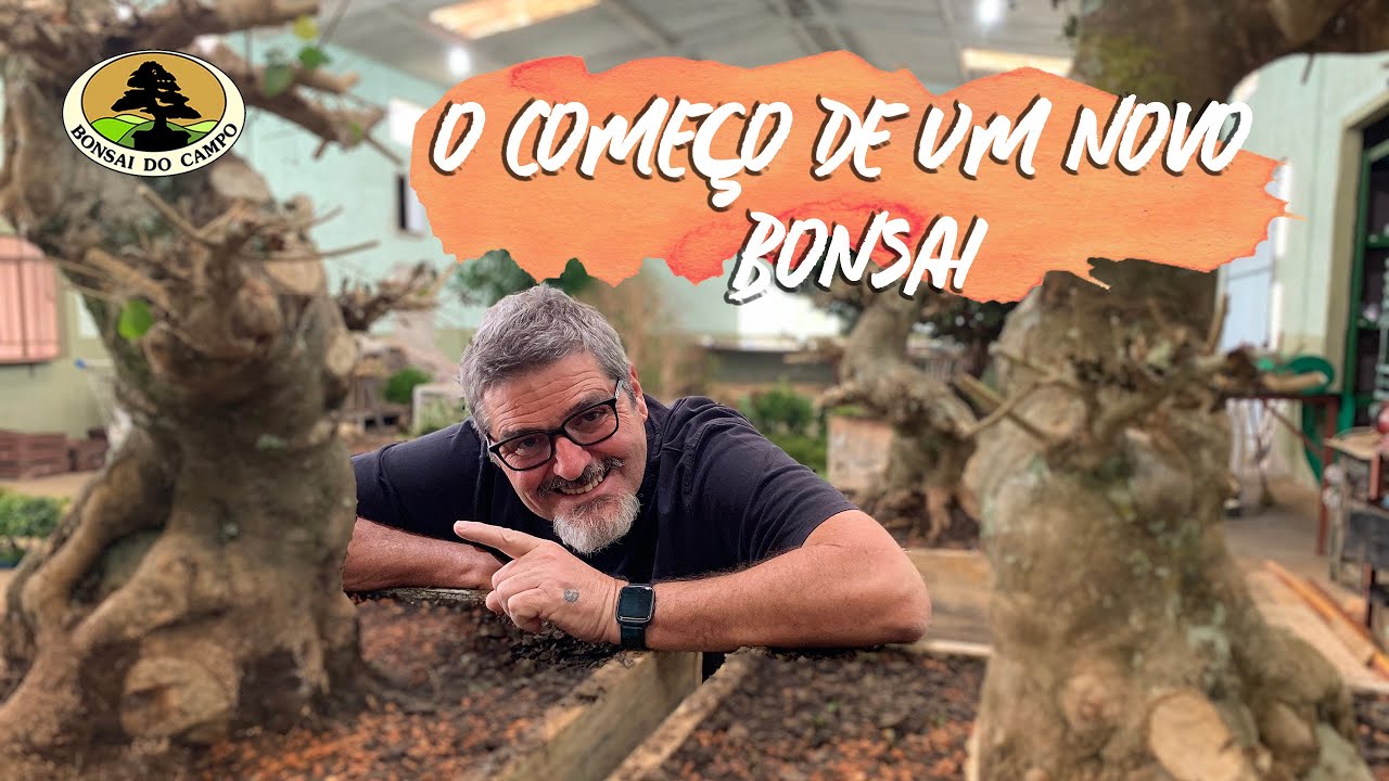 O começo de um novo BONSAI