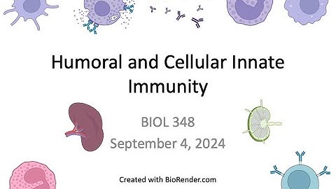 Immunology Fall 2024: Lecture 4 Humoral and Cellular Innate Immunity