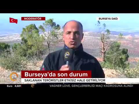 Burseya Dağı'nın ilerisinde