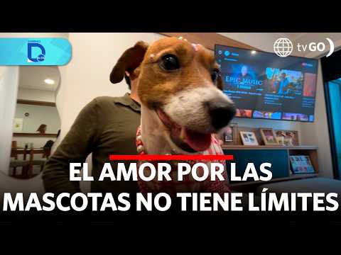 Love for pets knows no bounds | Domingo al Día | Peru