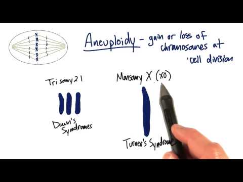 Trisomy and Monosomy - Tales from the Genome