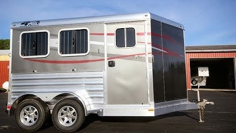 2019 4 Star 2 Horse Slant Bumper Pull w Dress Area video