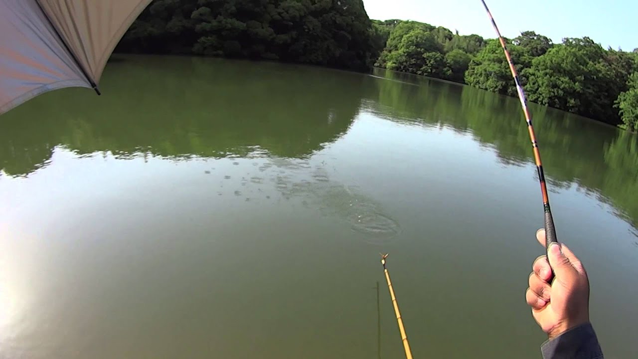 マッシュの宙　へら鮒釣り　カラツン上等！！「give up編」