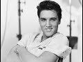 Elvis Presley | Falling in love | 1 Hour Loop