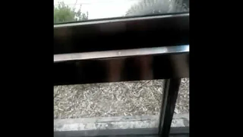 That is the elevator in Florida