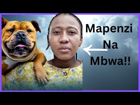 Kazi YA KUFANYA MAPENZI NA MBWA SAUDIA ARABIA