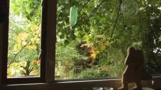Abe Osheroff (Educational Version) - Trailer - Available on DVD