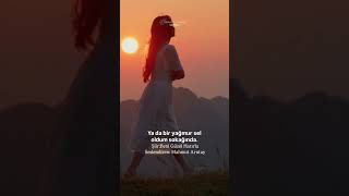 Farz Et Ki Bir Rüzgardım Esip Geçtim Hayatından