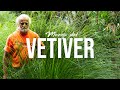 EL VETIVER, SU MANEJO Y FUNCIONAMIENTO EN LA AGRICULTURA | Jairo Restrepo Rivera