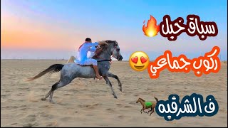 # فلوق (42) سباقات وفعليات اسطبلات الجبال الاربع واسطبلات المهجور المنطقه الشرقيه