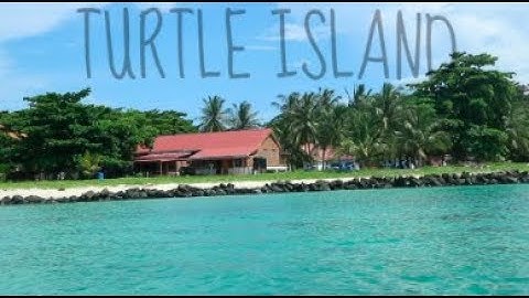 Turtle Island ~ Borneo, Malaysia | HOLZIE