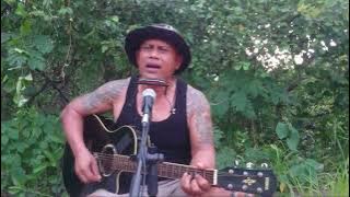 BELALANG TUA || iwan fals || cover ||#iwanfals#iwanfalscover#belalangtua