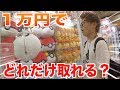 ゲームセンターで１万円使ったらどれくらい取れる？