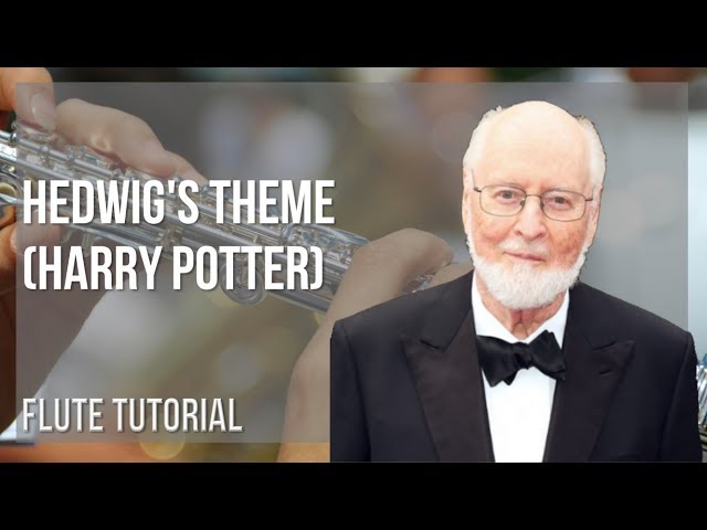 Cours de Saxophone Alto Harry Potter - Hedwig's Theme Tuto Partitions  um-i829 