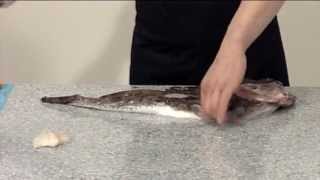 How To Skin And Fillet A Monkfish 208