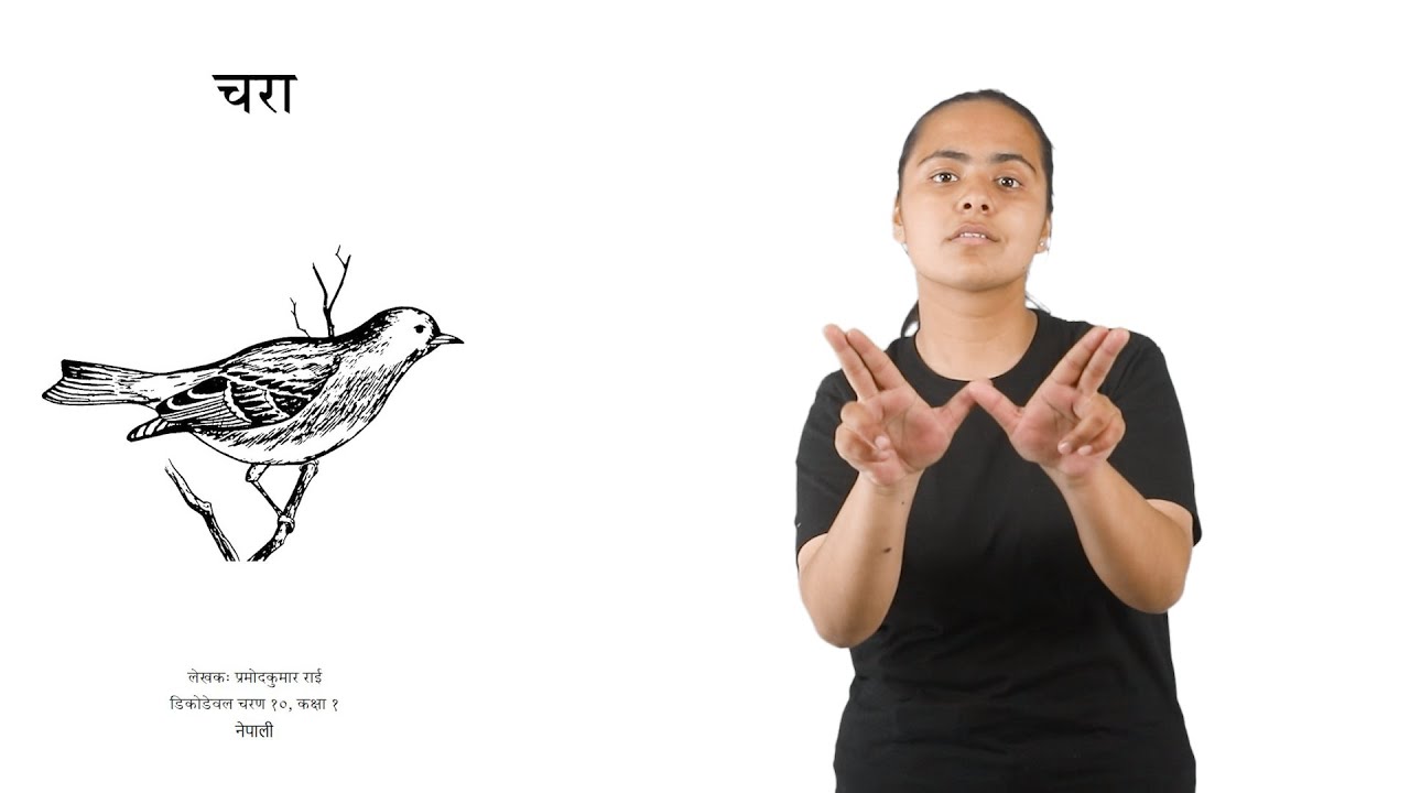 Nepali Sign Language NSL YouTube Nepali Sign Language NSL YouTube