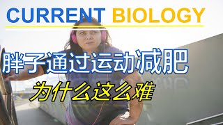 为什么胖子通过运动减肥这么难？【Current Biology】