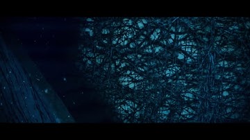 Stranger Things - The Upside Down Effect VFX Test
