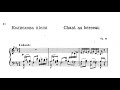 Capture de la vidéo Mykola Lysenko: Chant Au Berceau, Op.33 [1895]