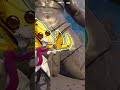 チピチピチャパチャパ【 フォートナイト 】
