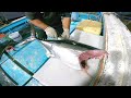 【病気マグロ】ガン!?内臓が腐ったように変色した病気マグロを解体して食べてみた結果、、、