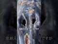 北極の氷が爆発するように割れる理由
