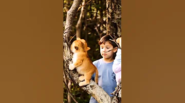 Music Lyrics Cover Baby Child Childhood Lion Lions Pop Baby Song Childhood Animals Child 