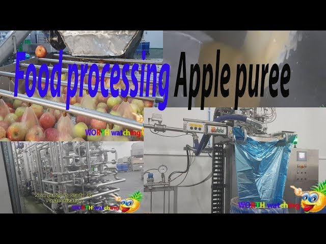 Applesauce/Apple Puree Processing Machine - IBC MACHINE