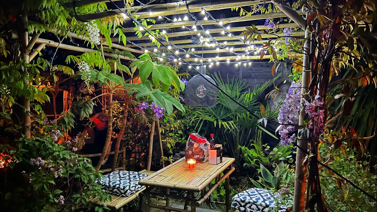 Tiny Tropical Garden in the uk