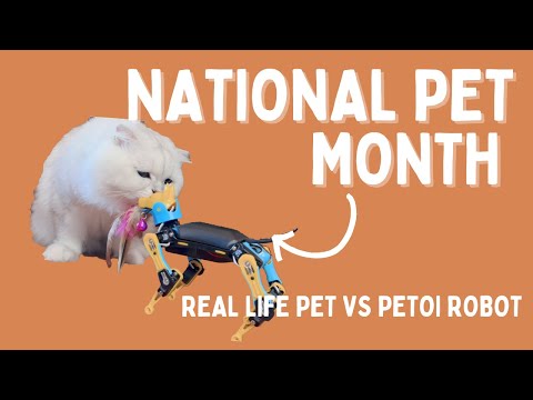 Robot Dog Bittle vs Real Pets