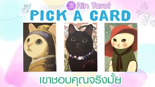 Pick a Card เขาชอบคุณจริงมั้ย เขาจะทำยังไงต่อ ความสัมพันธ์นี้มีอนาคตหรือไม่ ควรทำอย่างไร