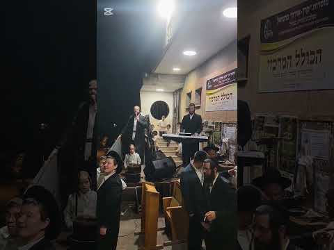 חיים ויזל & שרוליק הורביץ #dancemusic