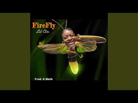 Video: Eric Ouellette Dei Firefly Studios