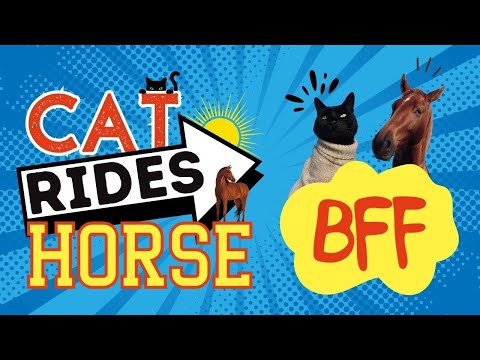 Animal BFFs Cat Rides Horse at Sunrise