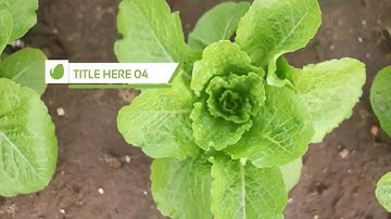 Angle Three Color Lower Third