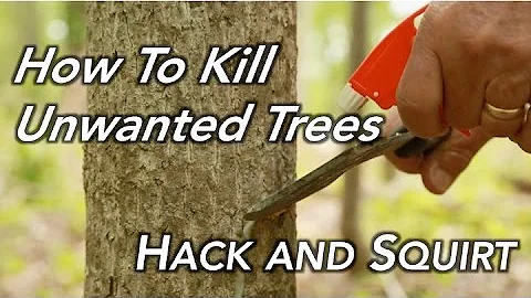 How To Kill a Tree | Hack and Squirt - DayDayNews