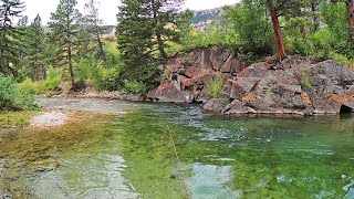 Dry Fly Perfection in Wyoming  Fly Fishing Wyoming (pt 3 day 3)