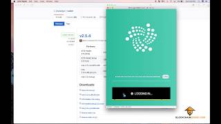 MacOSX Iota Wallet 2.5.4 Download