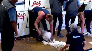 Rownd Derfynol Adran Agored | Open Shearing Final