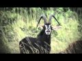 Sable Antelope in Shimba Hills National Reserve,KENYA