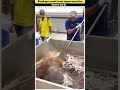 Sugarcane juice😱 Homemade chocolates // made in factory // #shorts #viral #trendin #short