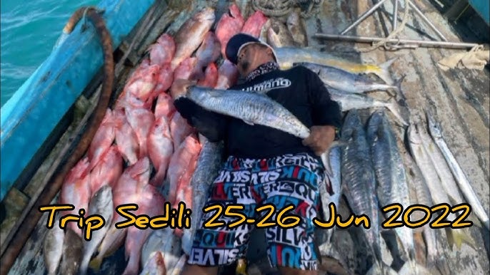 Caught many fish in Malaysia water of Sedili Tekong Faizal Fishing