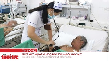 Suýt mất mạng vì ngộ độc khi ăn cá nóc mít