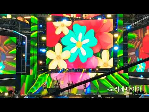 19.05.18)보리네 -직캠 드림콘서트 (다이아)왠지
