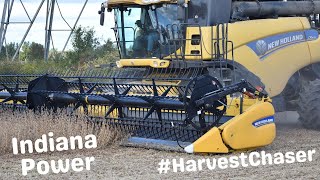 Indiana Power - New Holland CR8090 - CASE IH 350 Steiger - J&M 1325 GrainStorm - #harvestchaser