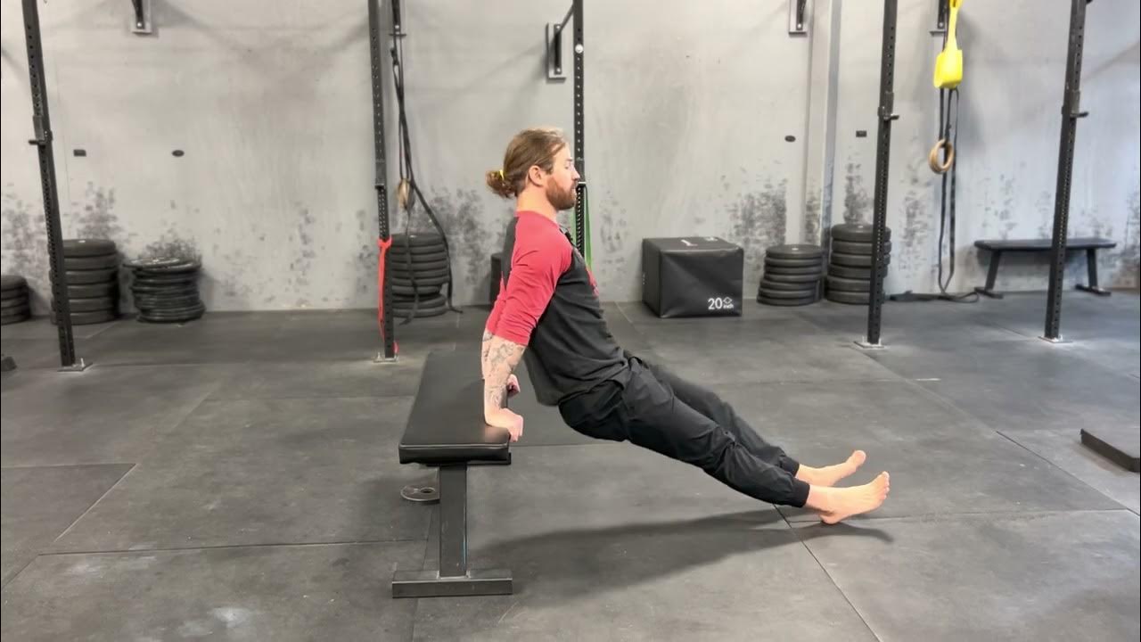 Bench Dips YouTube
