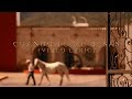 Video Musical