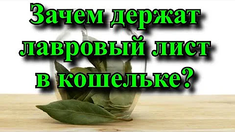 К чему кладут лавровый лист в кошелек? Зачем держат лавровый лист в кошельке?