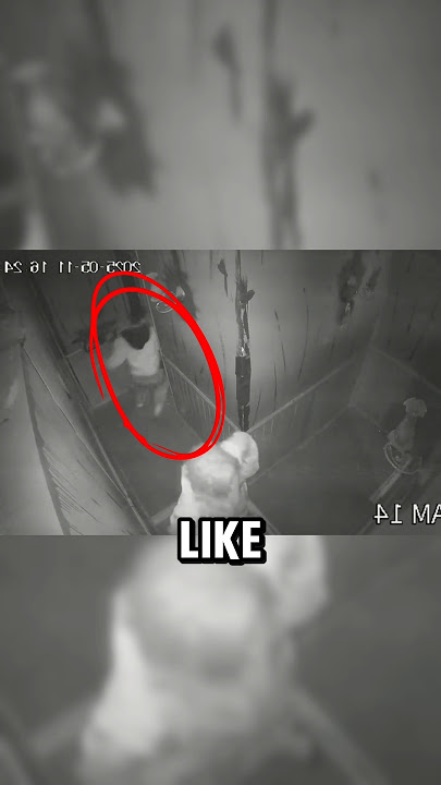 When in doubt...Hit the MACARENA🎶🗿 #macarenadance #escaperoom #fyp #shorts #viralvideo
